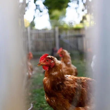 Chateau De Hotel Collias