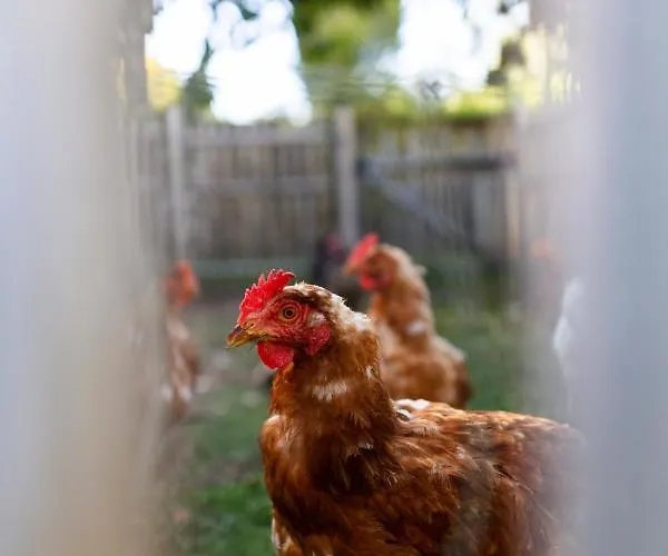 Château De Hotel Collias