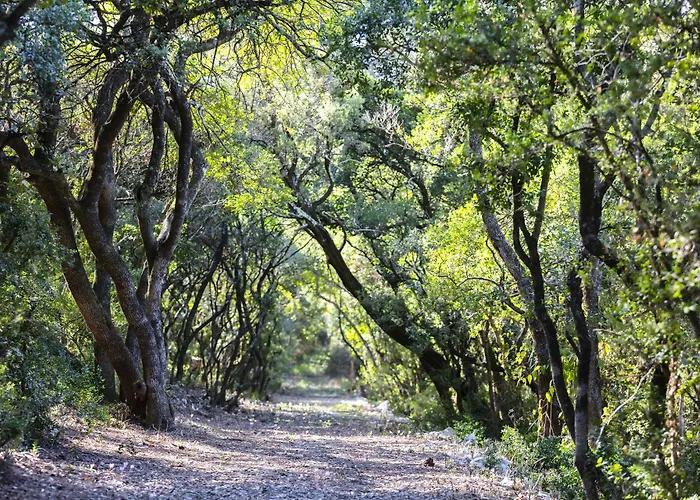 Château De Hotel 5*